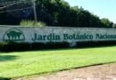 Un domingo en el Jardín Botánico: una opción poco atractiva