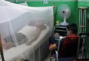 en 12 de las 15 provincias cubanas existen casos de dengue