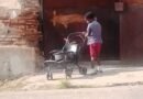 Aparece otro niño vendiendo aguacates en Santiago de Cuba