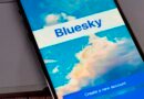 Así es Bluesky, la red social que acoge a los usuarios que abandonan X