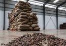 El mundo sufre la peor crisis de chocolate y cacao en más de medio siglo