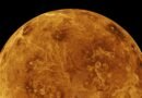 ¿Venus fue habitable alguna vez o siempre fue un infierno sofocante?