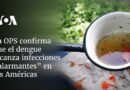 La OPS confirma que el dengue alcanza infecciones “alarmantes” en las Américas