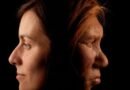 Hay una nueva cronología sobre la relaciones amorosas entre Homo sapiens y neandertales