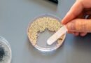 Este material biodegradable promete acabar con los microplásticos de los cosméticos