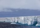 Un iceberg más grande que Londres está en vías de chocar con una isla repleta de pingüinos