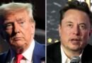 Trump congeló la ley que golpeó a los proveedores de Tesla