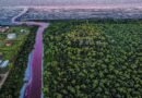 El arroyo Sarandí que atraviesa Buenos Aires se tiñe de rojo. Esto es lo que sabemos