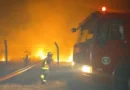 Incendio en La Sierpe arrasa con 250 hectáreas de potrero