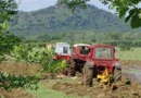 Régimen permitirá a extranjeros residentes en la Isla acceder a tierras en usufructo 