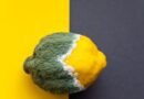 ¿Qué pasa si comes moho? Los riesgos que se corren al consumir productos contaminados