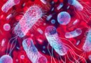 Una bacteria desconocida en la Tierra aparece en la estación espacial china
