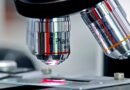 El español Juan Pérez Mercader se convierte en el primer científico en crear vida artificial sin bioquímica