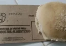 harina con gorgojos después de cuatro días sin pan