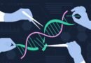 Terapia genética CRISPR es utilizada por primera vez para tratar a un bebé con una rara enfermedad metabólica