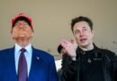Una línea de tiempo de la relación de Donald Trump y Elon Musk