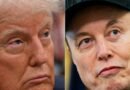 Elon Musk dice que lamenta algunas publicaciones en las redes sociales que hizo sobre Trump