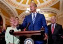 ¿Qué hay en la versión del Senado del proyecto de ley de gastos de Trump?