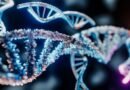 DeepMind va a la caza de otro premio Nobel con el lanzamiento de AlphaGenome