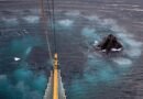 ¿Para qué sirven los misteriosos anillos de burbujas de las ballenas jorobadas?