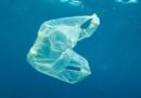 La cantidad de bolsas de plástico que terminan en la playa al fin disminuye, tras la restricción en los supermercados