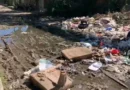 Cuba reporta brote simultáneo de dengue, Oropouche e influenza