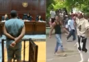 Comienza juicio por la pelea en la Finca de los Monos