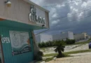 Cubamax niega vínculo con red de licencias fraudulentas