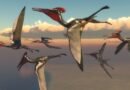 Los pterosaurios aprendieron a volar gracias al cambio climático, sugiere un nuevo estudio