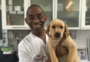 De repartir pizzas en Berlín a revolucionar la odontología veterinaria en Europa