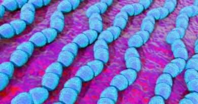Un gen que crea súperbacterias se propaga con rapidez y podría traer una nueva era de enfermedades incurables