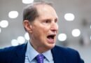 Trump débil por despedir al jefe de BLS mcentarfer sobre el informe de empleos: Wyden