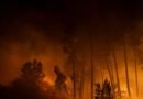Así se ven los incendios que arrasan los bosques en España y Portugal