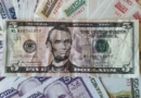 Los dólares y dolores de la dolarización