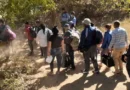 El 83% de los migrantes que atravesaron Honduras en 2025 son cubanos