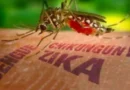 Embajada de EE.UU. emite alerta sanitaria por repunte de dengue, chikungunya y oropouche en Cuba