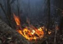 Reportan incendio de grandes proporciones en Ojo de Agua, Guantánamo