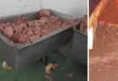 Denuncian «falta de higiene» en entidad de la Industria Alimentaria en La Lisa