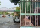 el ocaso del Jardín Zoológico de La Habana