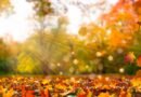 Cuándo será el equinoccio de otoño 2025