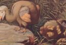 El plan para revivir al dodo acaba de dar un gran paso con estas primeras células cultivadas