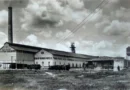 La industria azucarera cubana Cubanet
