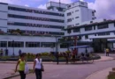 casi 250 personas ingresadas en la última semana