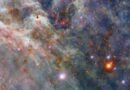 La nebulosa de la Tarántula, una cuna de estrellas gigantes en un rincón de la galaxia.