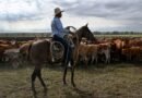 Los ganaderos no entienden los aranceles en medio de la disputa por la carne argentina