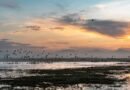 El agua regresa al Lago de Texcoco y entierra los restos de lo que quiso ser un megaaeropuerto