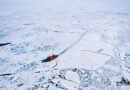 Científicos descubren vida en el hielo ártico a 15 grados bajo cero