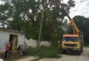 UNE anuncia mayor afectación eléctrica en las provincias que no serán impactadas por Melissa