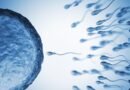 El semen de hombres mayores presenta más mutaciones genéticas que el de jóvenes, indica un estudio