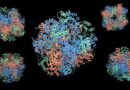 Estudio de Microsoft alerta que la creación de proteínas con IA abre la puerta a las armas biológicas